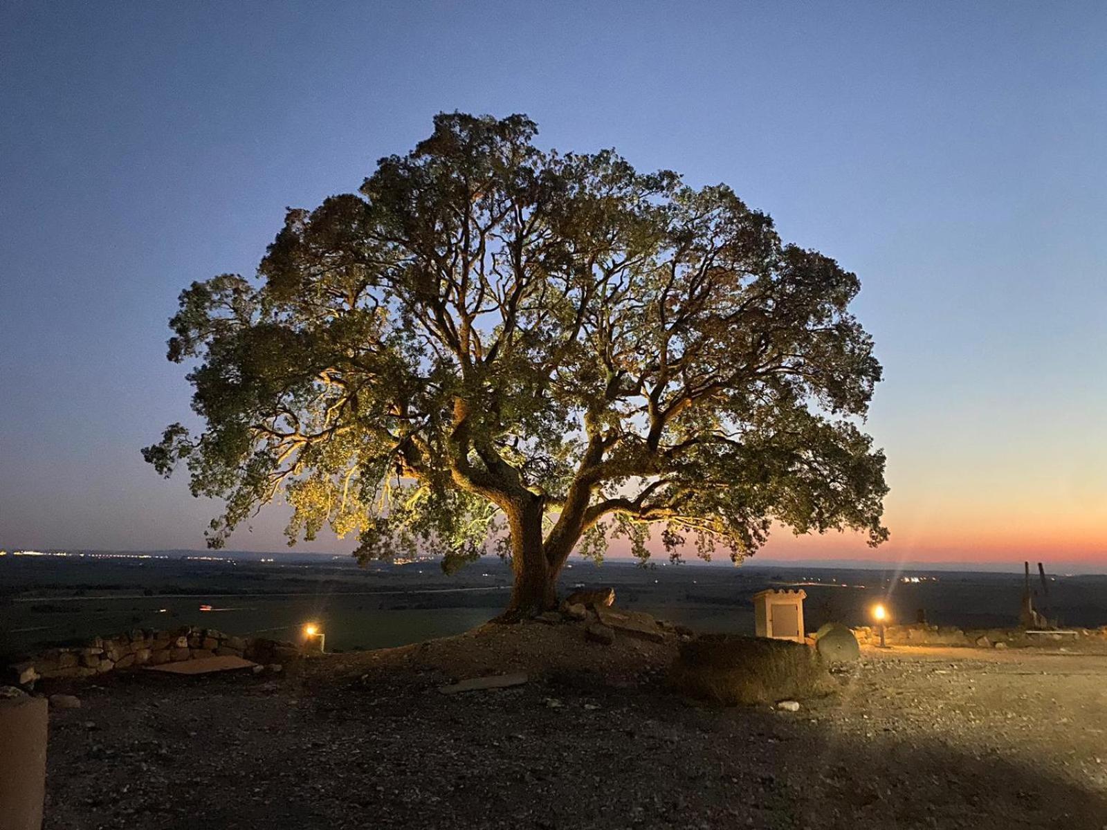 Masia De Queralt Luxury Casa Rural Spa Y Vistas Concabella Εξωτερικό φωτογραφία