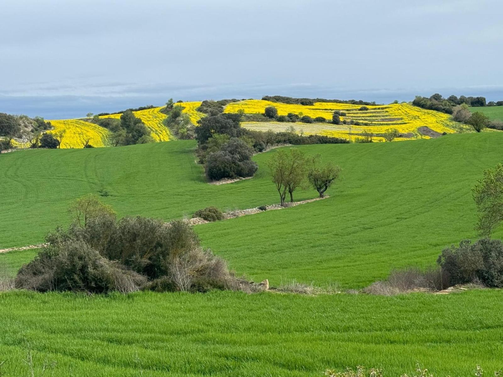 Masia De Queralt Luxury Casa Rural Spa Y Vistas Concabella Εξωτερικό φωτογραφία