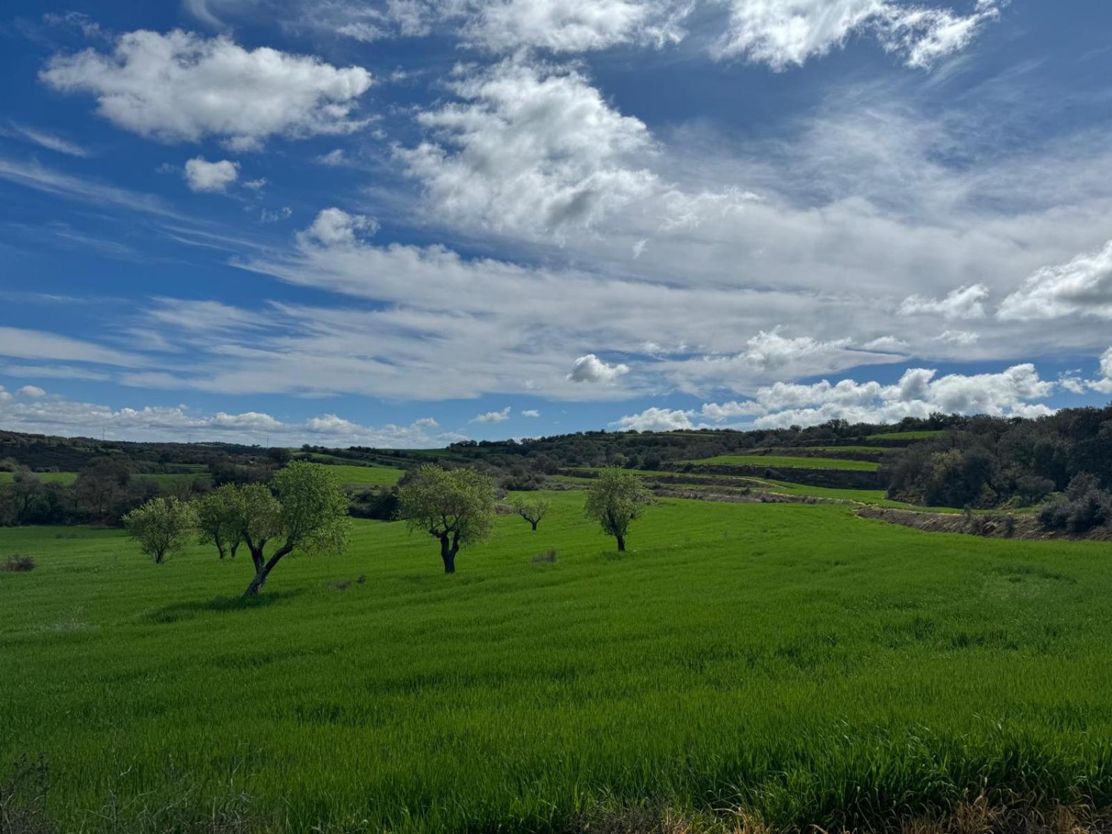 Masia De Queralt Luxury Casa Rural Spa Y Vistas Concabella Εξωτερικό φωτογραφία